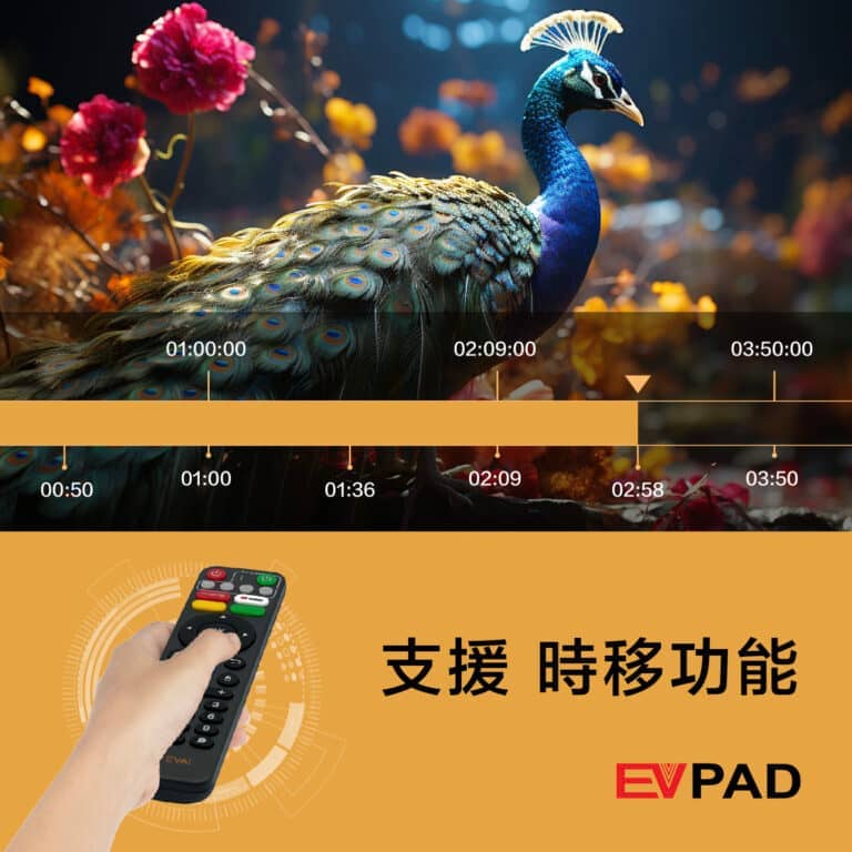EVPAD 11P Android TV Box (International Version) - Image 8