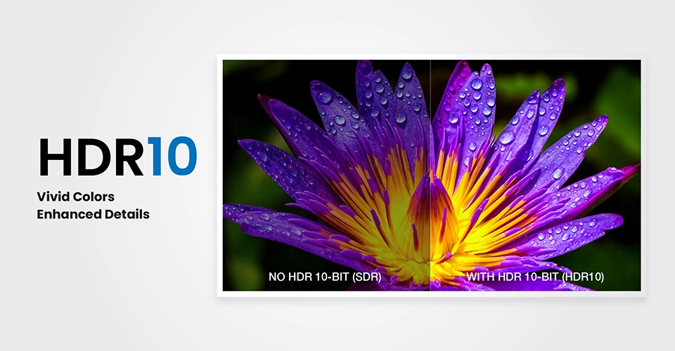 EVPAD 12S Android TV Box (International Version)