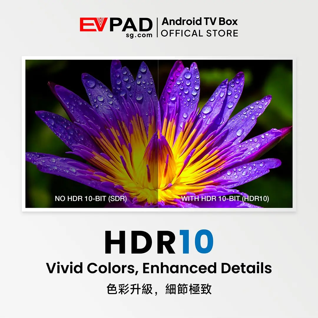 EVPAD 12S Android TV Box (International Version) EVPAD 12S HDR10 comparison showing enhanced colors and details.